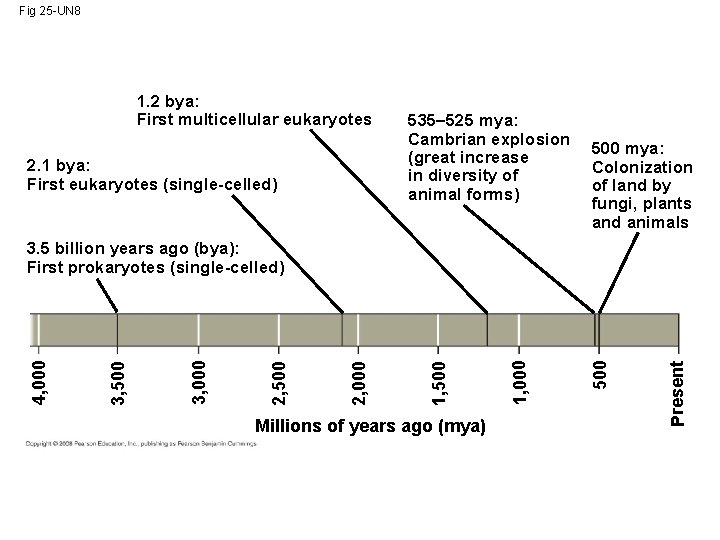 Fig 25 -UN 8 1. 2 bya: First multicellular eukaryotes 2. 1 bya: First