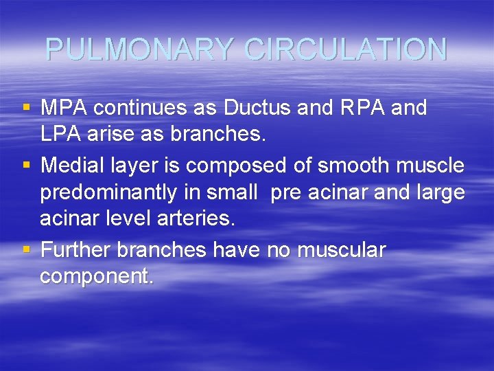 PULMONARY CIRCULATION § MPA continues as Ductus and RPA and LPA arise as branches.