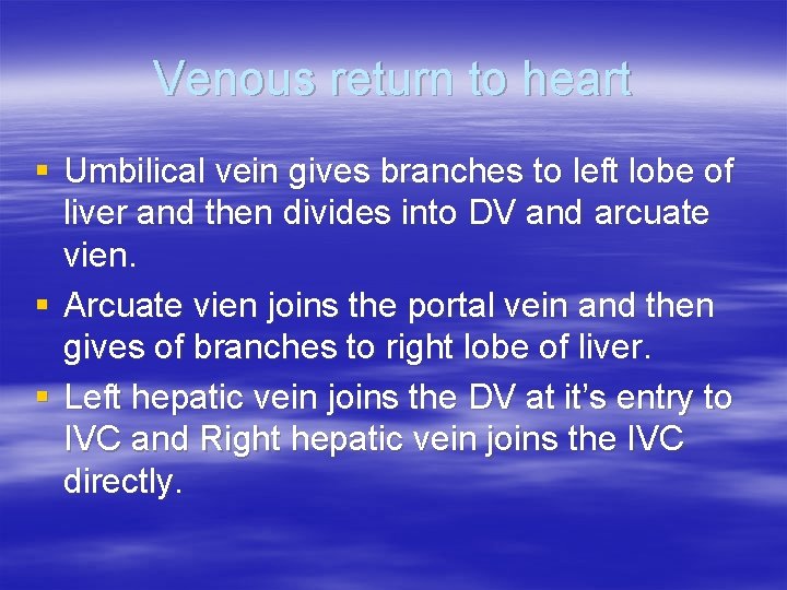 Venous return to heart § Umbilical vein gives branches to left lobe of liver