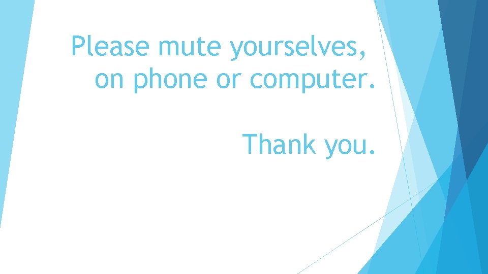 Please mute yourselves, on phone or computer. Thank you. 