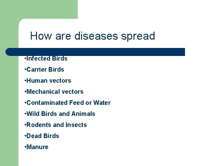 How are diseases spread • Infected Birds • Carrier Birds • Human vectors •