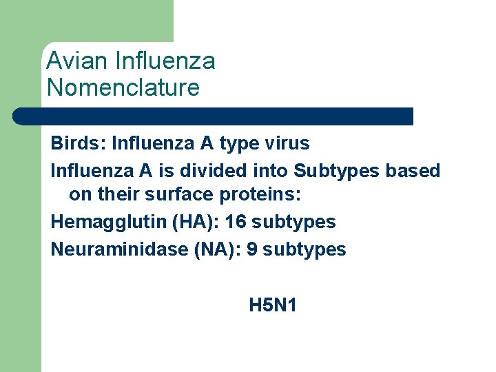 Avian Influenza Nomenclature Birds: Influenza A type virus Influenza A is divided into Subtypes