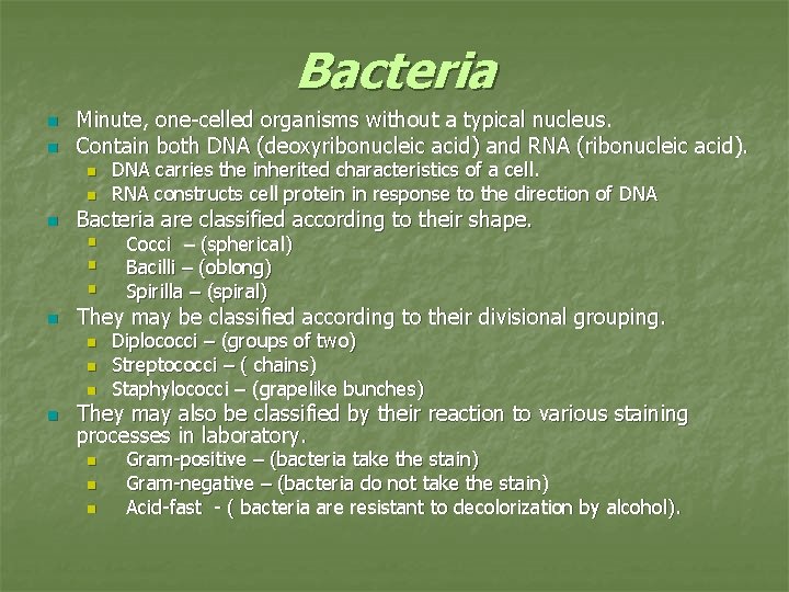 Bacteria n n Minute, one-celled organisms without a typical nucleus. Contain both DNA (deoxyribonucleic