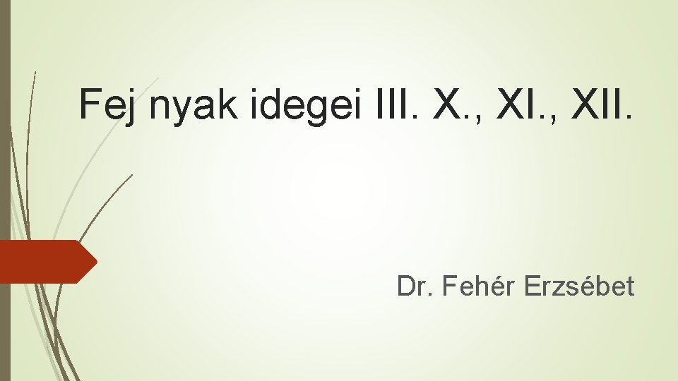 Fej nyak idegei III. X. , XII. Dr. Fehér Erzsébet 