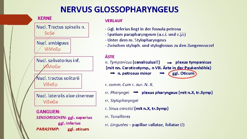 NERVUS GLOSSOPHARYNGEUS KERNE Nucl. Tractus spinalis n. So. Se Nucl. ambiguus Vi. Mo. Sp