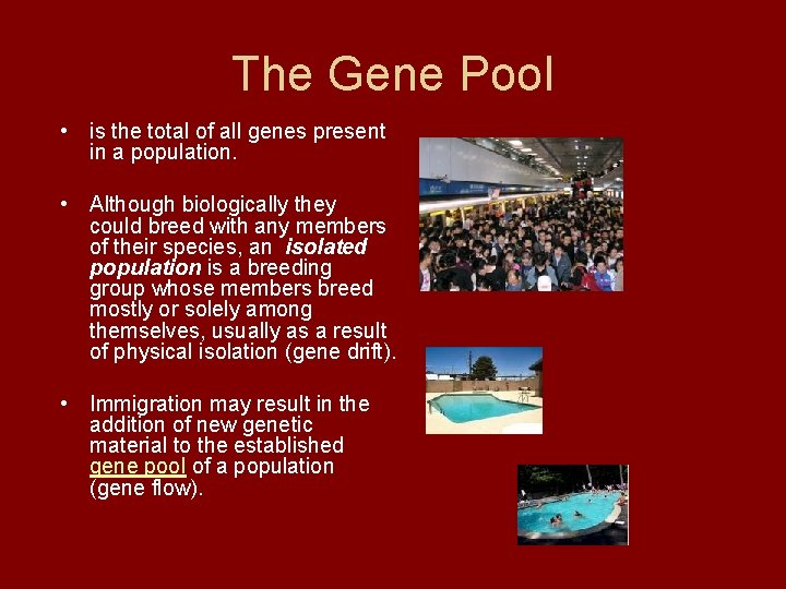 The Gene Pool • is the total of all genes present in a population.