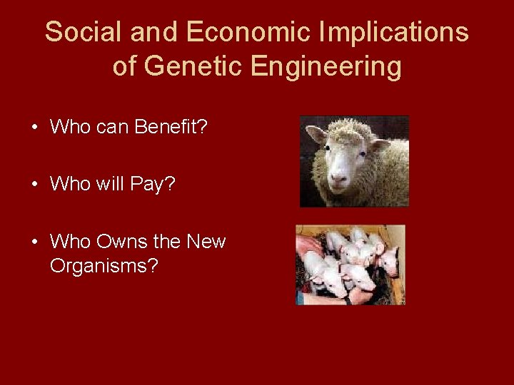 Social and Economic Implications of Genetic Engineering • Who can Benefit? • Who will Social and Economic Implications of Genetic Engineering • Who can Benefit? • Who will