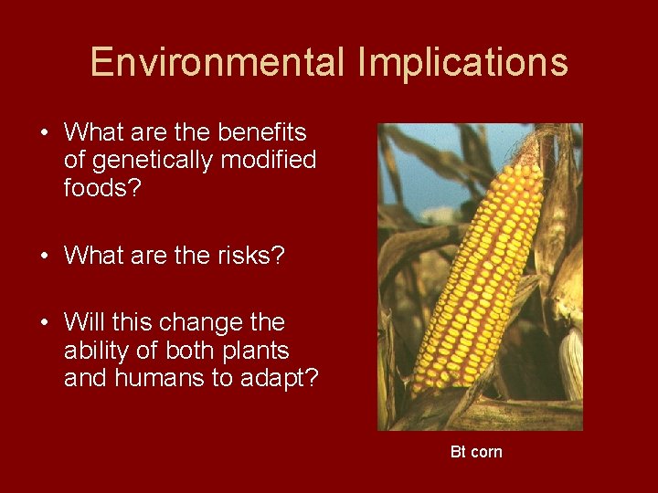 Environmental Implications • What are the benefits of genetically modified foods? • What are