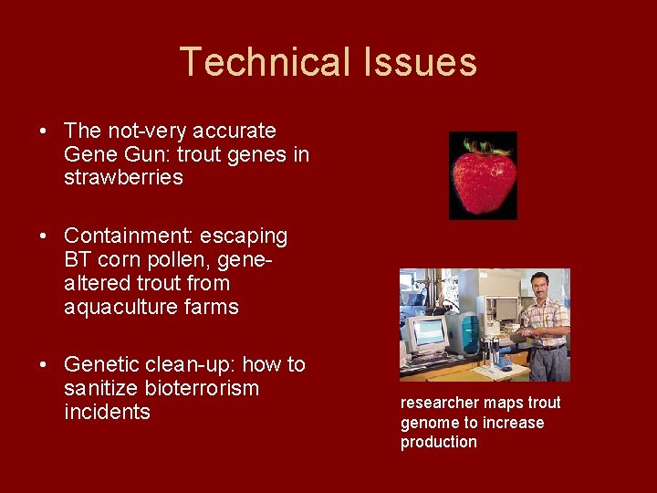 Technical Issues • The not-very accurate Gene Gun: trout genes in strawberries • Containment: