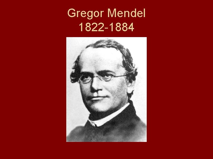 Gregor Mendel 1822 -1884 