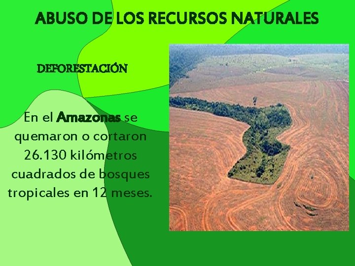 ABUSO DE LOS RECURSOS NATURALES DEFORESTACIÓN En el Amazonas se quemaron o cortaron 26.
