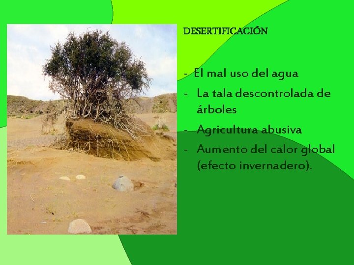 DESERTIFICACIÓN - El mal uso del agua - La tala descontrolada de árboles -
