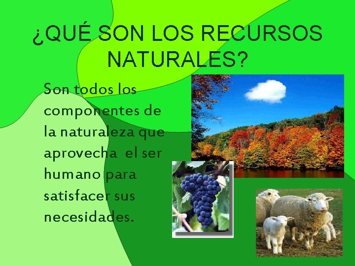 ¿QUÉ SON LOS RECURSOS NATURALES? Son todos los componentes de la naturaleza que aprovecha