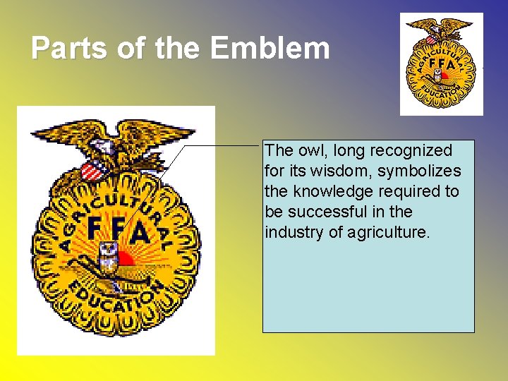 Parts of the Emblem The owl, long recognized for its wisdom, symbolizes the knowledge