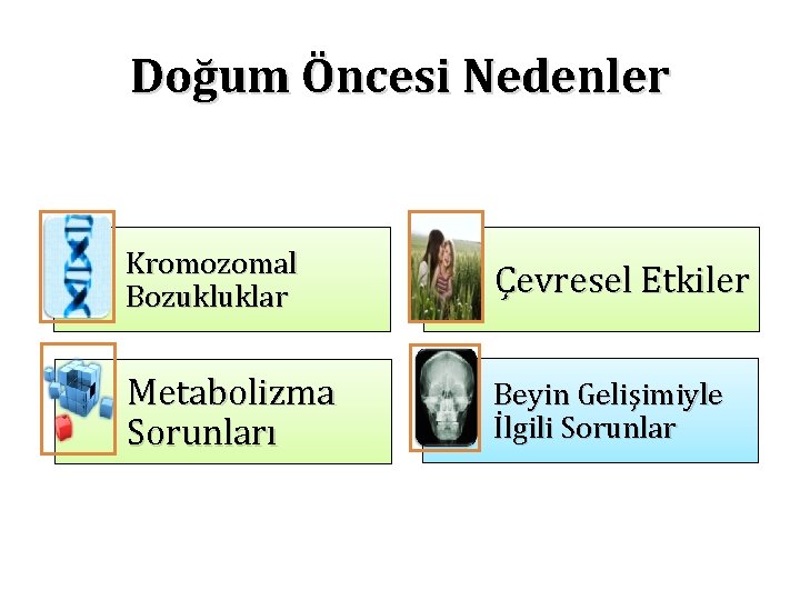 Doğum Öncesi Nedenler Kromozomal Bozukluklar Çevresel Etkiler Metabolizma Sorunları Beyin Gelişimiyle İlgili Sorunlar 