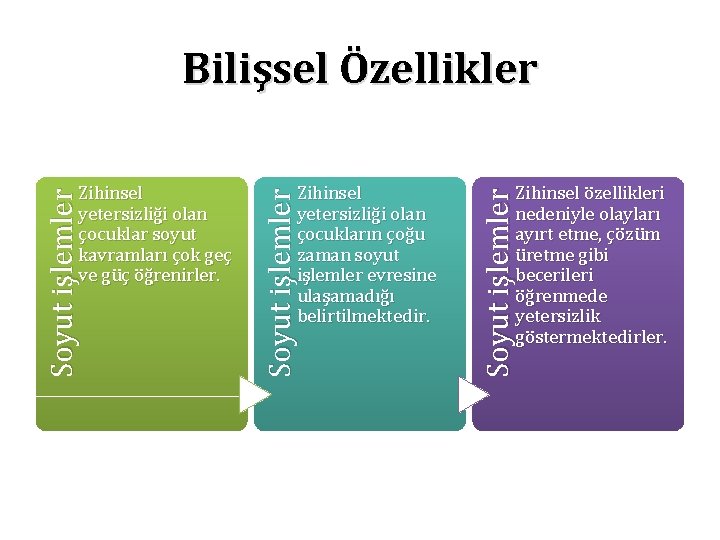 Bilişsel Özellikler Zihinsel özellikleri nedeniyle olayları ayırt etme, çözüm üretme gibi becerileri öğrenmede yetersizlik