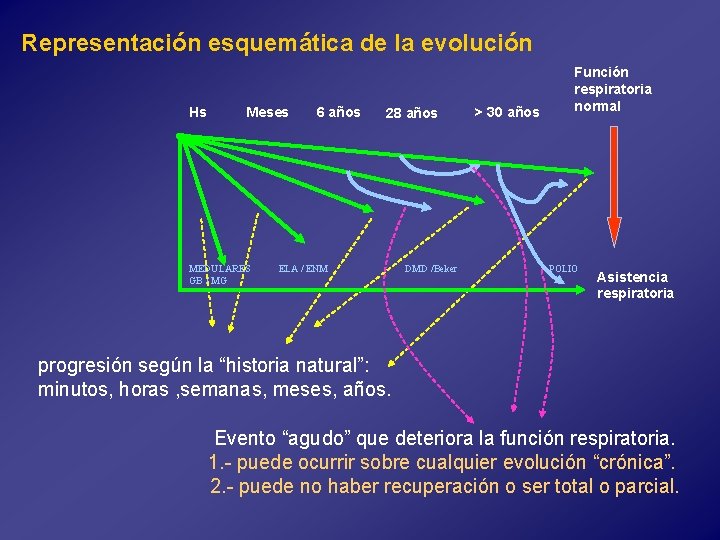 Representación esquemática de la evolución Hs Meses MEDULARES GB / MG 6 años 28