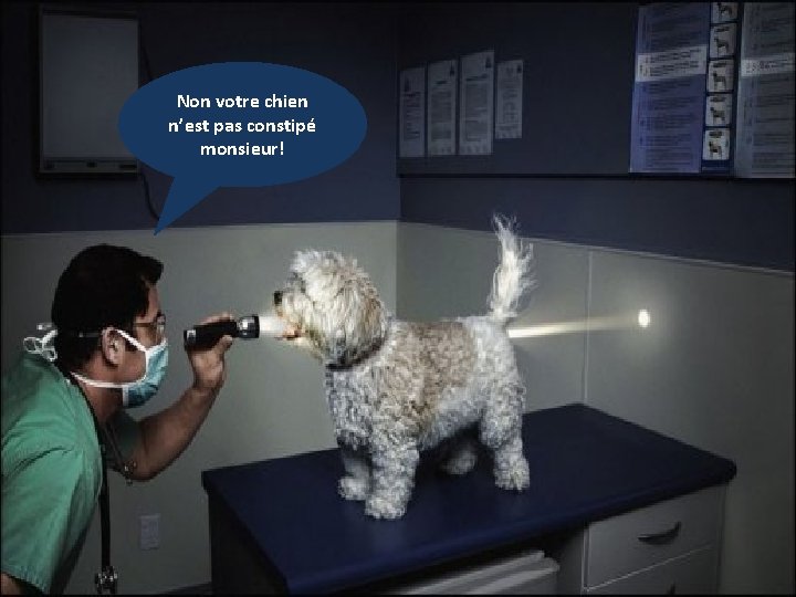 Non votre chien n’est pas constipé monsieur! 