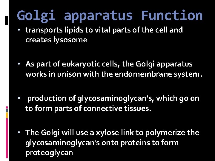Golgi apparatus Function • transports lipids to vital parts of the cell and creates
