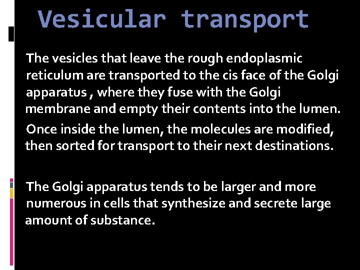 Vesicular transport The vesicles that leave the rough endoplasmic reticulum are transported to the