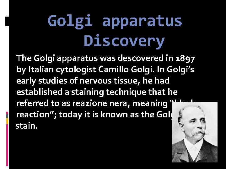 Golgi apparatus Discovery The Golgi apparatus was descovered in 1897 by Italian cytologist Camillo