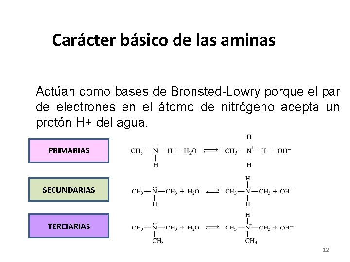 Carácter básico de las aminas Actúan como bases de Bronsted-Lowry porque el par de