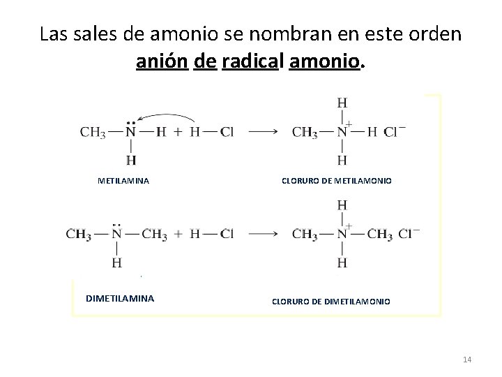 Las sales de amonio se nombran en este orden anión de radical amonio. METILAMINA