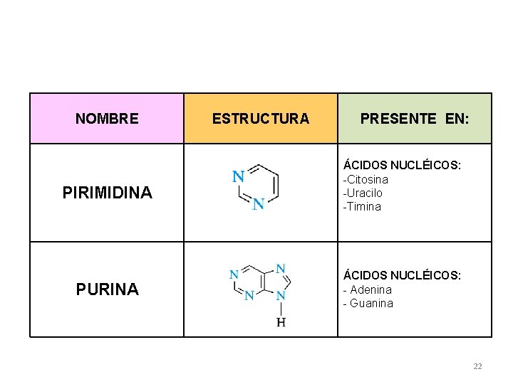 NOMBRE PIRIMIDINA PURINA ESTRUCTURA PRESENTE EN: ÁCIDOS NUCLÉICOS: -Citosina -Uracilo -Timina ÁCIDOS NUCLÉICOS: -