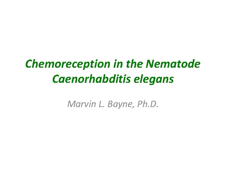 Chemoreception in the Nematode Caenorhabditis elegans Marvin L. Bayne, Ph. D. 