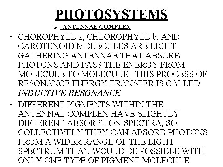 PHOTOSYSTEMS » ANTENNAE COMPLEX • CHOROPHYLL a, CHLOROPHYLL b, AND CAROTENOID MOLECULES ARE LIGHTGATHERING