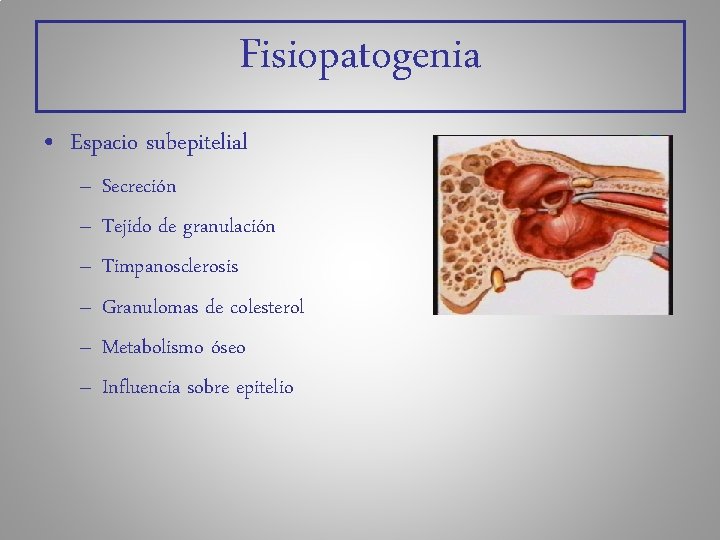 Fisiopatogenia • Espacio subepitelial – – – Secreción Tejido de granulación Timpanosclerosis Granulomas de