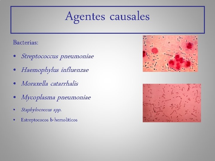Agentes causales Bacterias: • Streptococcus pneumoniae • Haemophylus influenzae • Moraxella catarrhalis • Mycoplasma