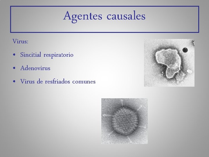 Agentes causales Virus: • Sincitial respiratorio • Adenovirus • Virus de resfriados comunes 