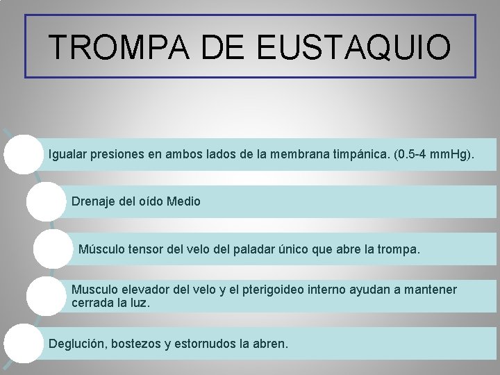 TROMPA DE EUSTAQUIO Igualar presiones en ambos lados de la membrana timpánica. (0. 5