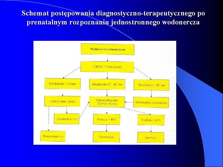 Schemat postępowania diagnostyczno-terapeutycznego po prenatalnym rozpoznaniu jednostronnego wodonercza 