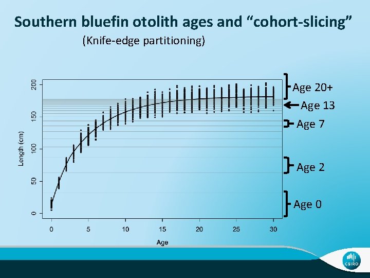 Southern bluefin otolith ages and “cohort-slicing” (Knife-edge partitioning) Age 20+ Age 13 Age 7