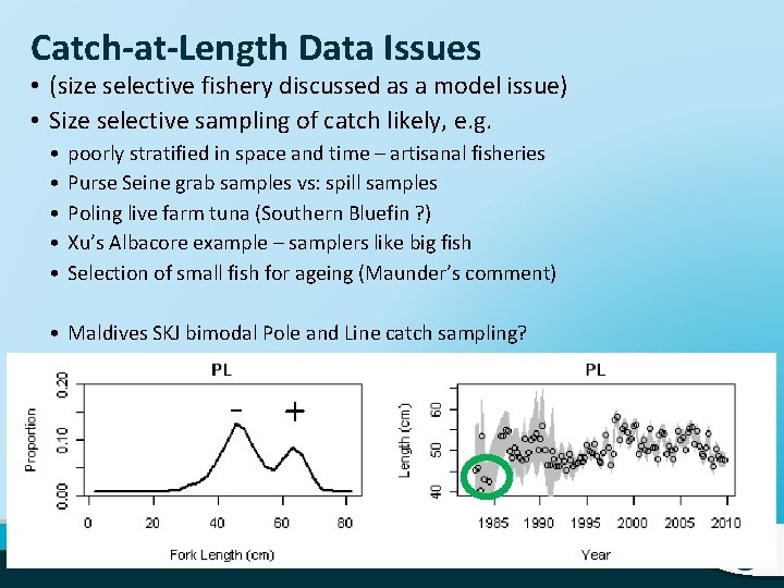 Catch-at-Length Data Issues • (size selective fishery discussed as a model issue) • Size