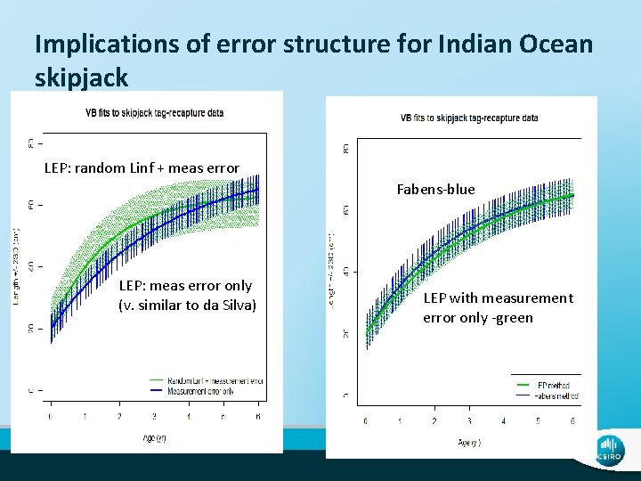 Implications of error structure for Indian Ocean skipjack LEP: random Linf + meas error