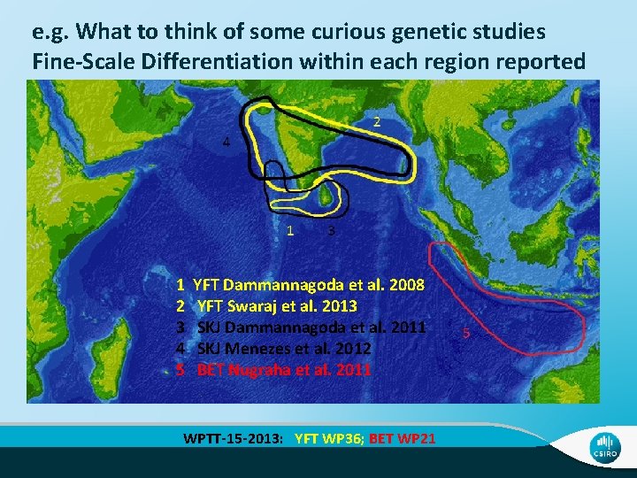 e. g. What to think of some curious genetic studies Fine-Scale Differentiation within each