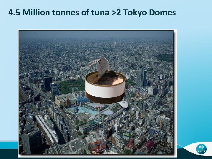 4. 5 Million tonnes of tuna >2 Tokyo Domes 