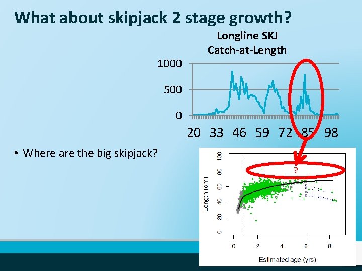 What about skipjack 2 stage growth? 1000 Longline SKJ Catch-at-Length 500 0 20 33