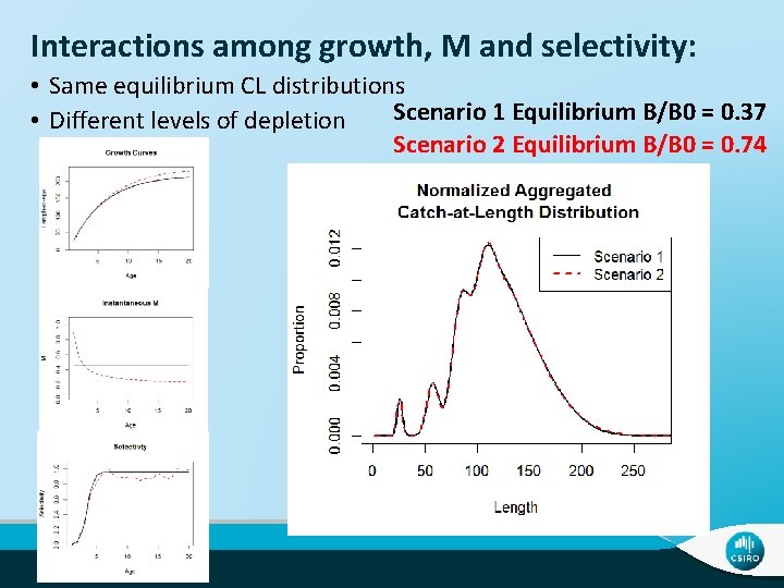 Interactions among growth, M and selectivity: • Same equilibrium CL distributions Scenario 1 Equilibrium