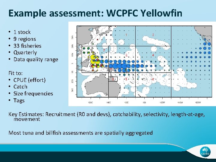 Example assessment: WCPFC Yellowfin • • • 1 stock 9 regions 33 fisheries Quarterly