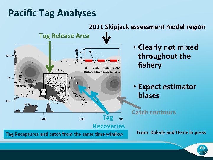 Pacific Tag Analyses 2011 Skipjack assessment model region Tag Release Area • Clearly not
