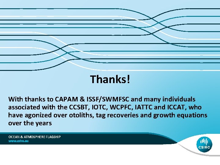 Thanks! With thanks to CAPAM & ISSF/SWMFSC and many individuals associated with the CCSBT,