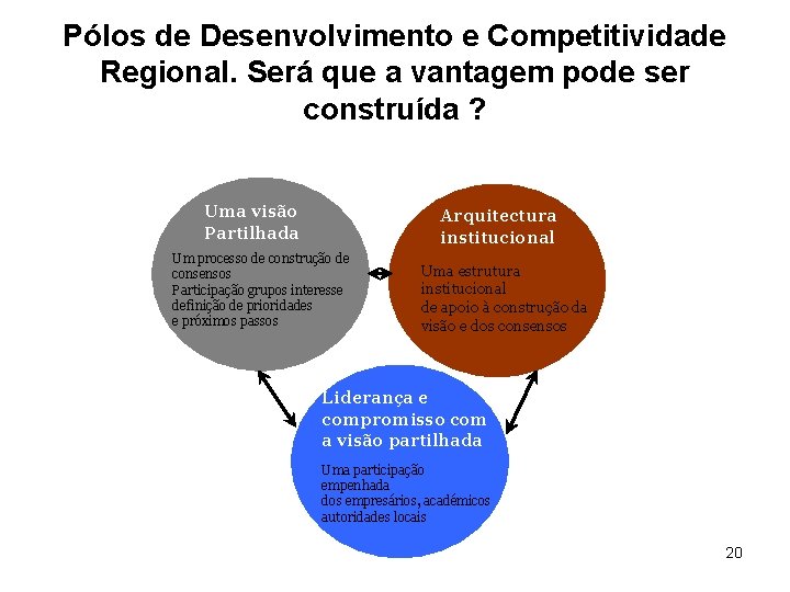 Pólos de Desenvolvimento e Competitividade Regional. Será que a vantagem pode ser construída ?