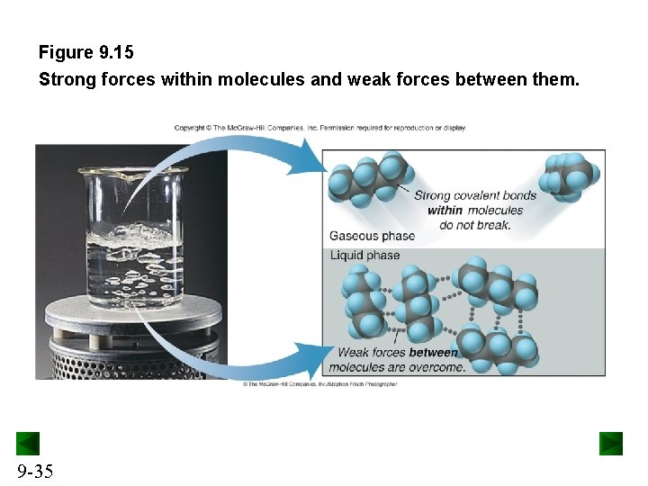 Figure 9. 15 Strong forces within molecules and weak forces between them. 9 -35