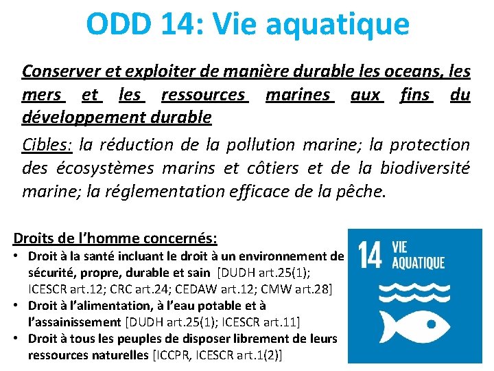 ODD 14: Vie aquatique Conserver et exploiter de manière durable les oceans, les mers