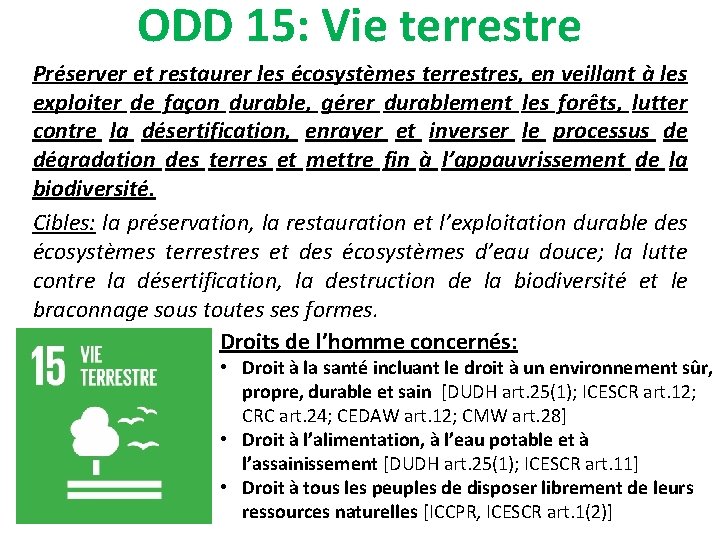 ODD 15: Vie terrestre Préserver et restaurer les écosystèmes terrestres, en veillant à les