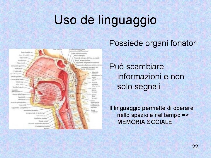 Uso de linguaggio Possiede organi fonatori Può scambiare informazioni e non solo segnali Il